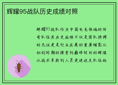 辉耀95战队历史成绩对照